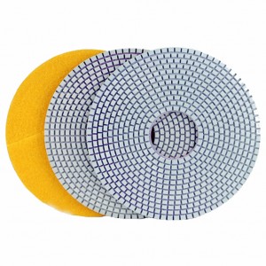 8Inch Diamond Resin Polishing Pads Concrete Floor Grinding Disc China Manufacturer