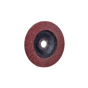 T27 Aluminium Oxide Flap Disc 100*16mm Abrasive Tools For Metal Polishing And Grinding