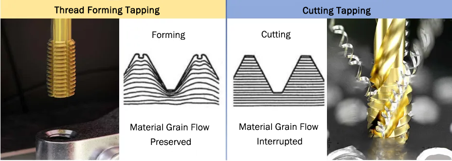 Grain Flow in Thread Forming vs. Cutting