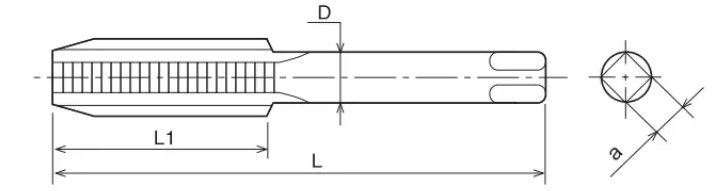 HSS pipe tap size