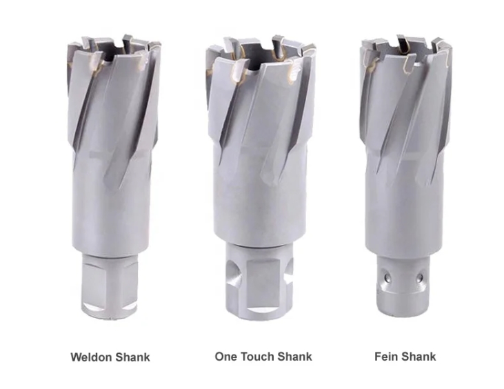 shank