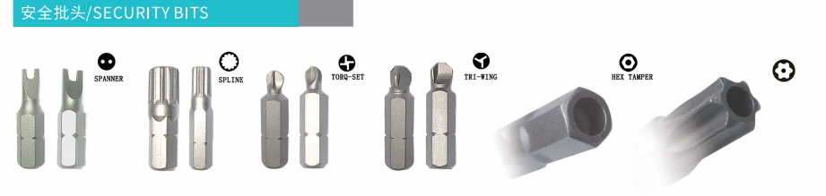 security screwdriver bit