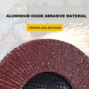 T27 Aluminium Oxide Flap Disc 100*16mm Abrasive Tools For Metal Polishing And Grinding