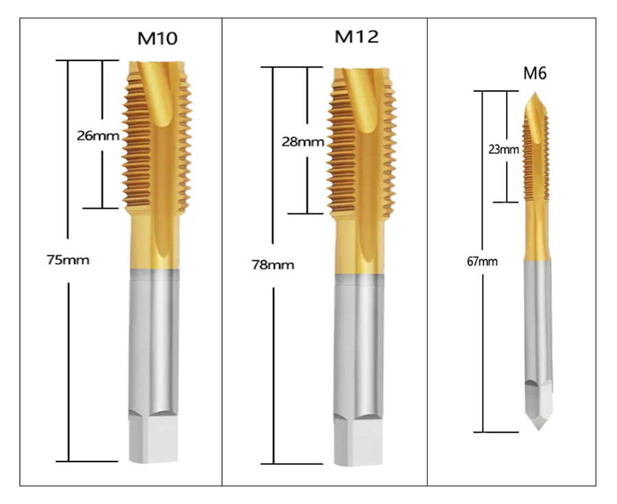 m10-m12-m6 size